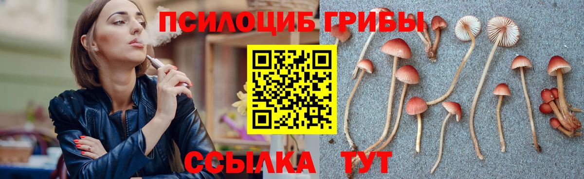 Псилоцибиновые грибы GOLDEN TEACHER Выборг