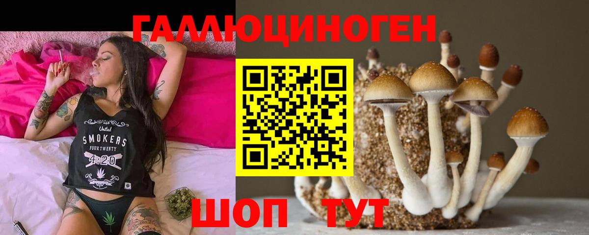 Выборг  Псилоцибиновые грибы ЛСД  Вход с VPN 